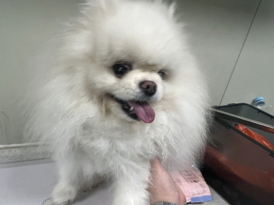 사단법인 동부_426340202500316